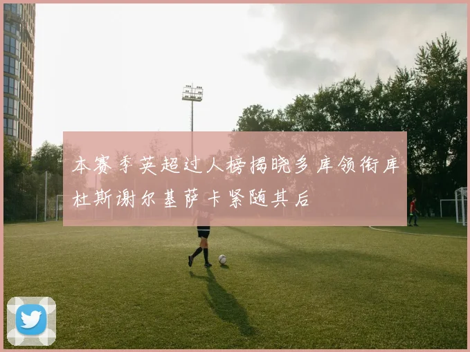 本赛季英超过人榜揭晓多库领衔库杜斯谢尔基萨卡紧随其后