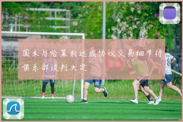 国米与哈莱利达成协议交易细节待俱乐部谈判决定